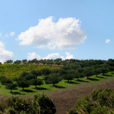 Campagna trapanese